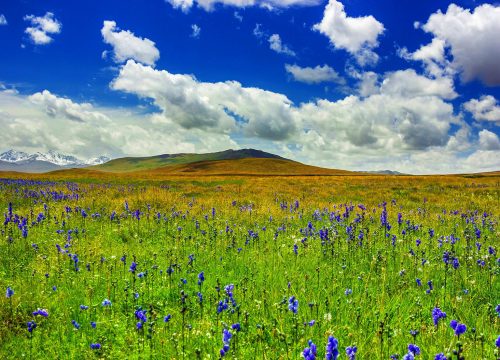 Karakorum Deosai Plains & Nanga Parbat Safari