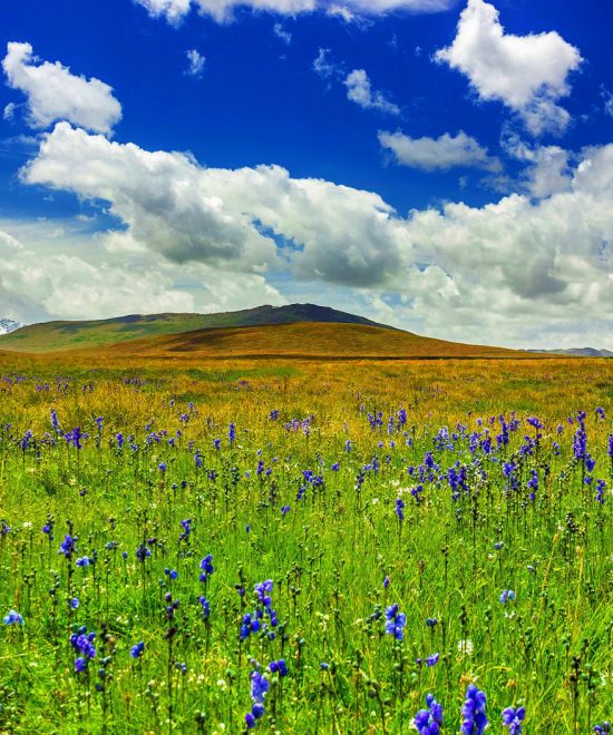 Karakorum Deosai Plains & Nanga Parbat Safari
