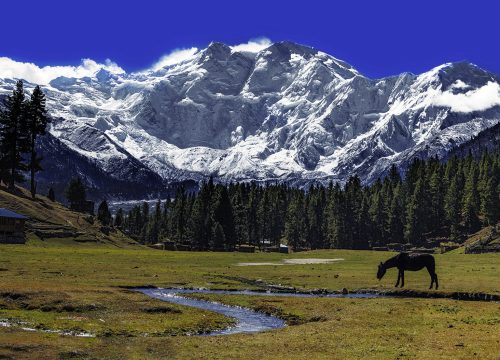 Nanga Parbat Expedition