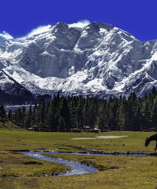 Nanga Parbat Expedition
