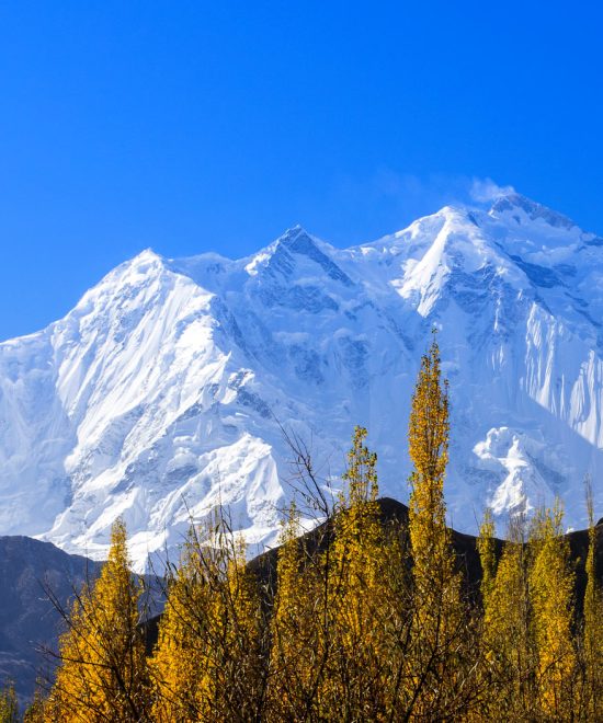 Rakaposhi Expedition