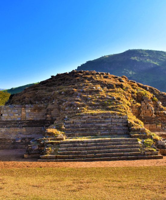 Day Trip to Bhamala Stupa