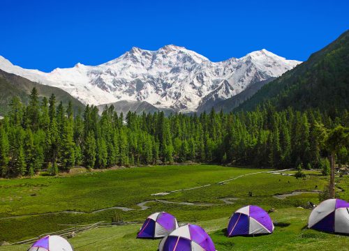 Nanga Parbat Base Camp Trek