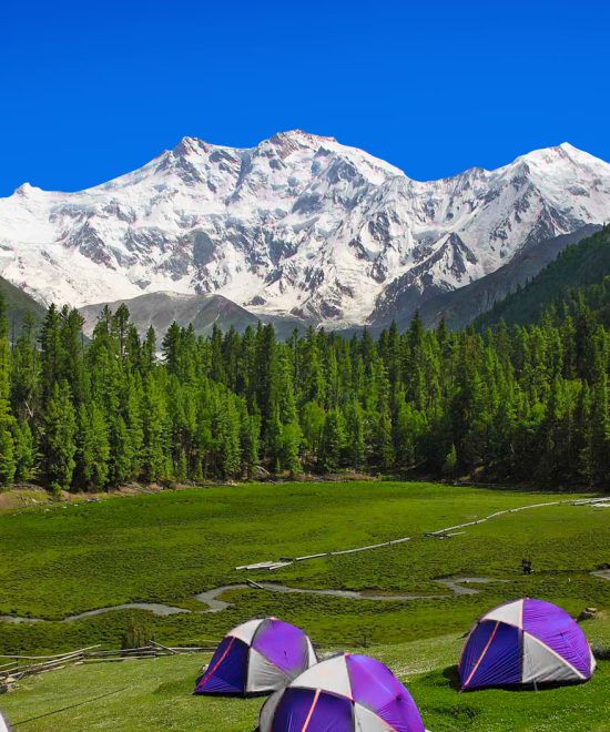 Nanga Parbat Base Camp Trek