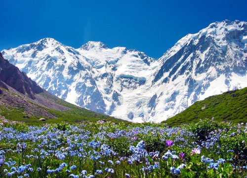 Around Nanga Parbat Trek