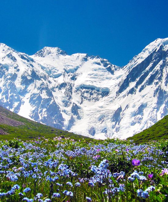 Around Nanga Parbat Trek