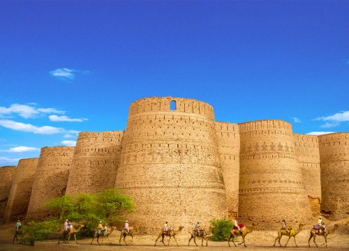 Camel Safari in Cholistan