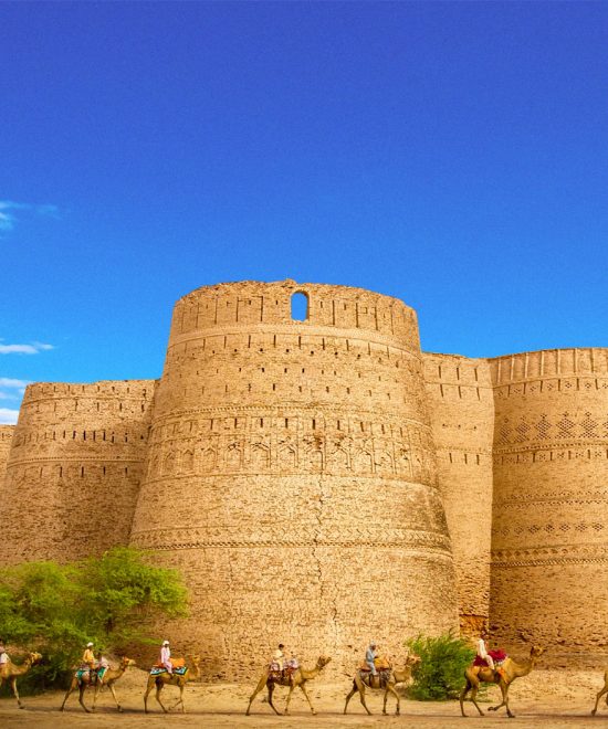 Camel Safari in Cholistan