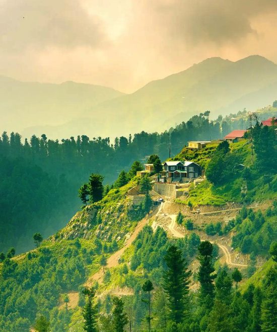 One Day Trip to Murree