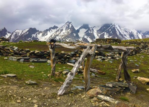 Rakaposhi Base Camp & Patundas