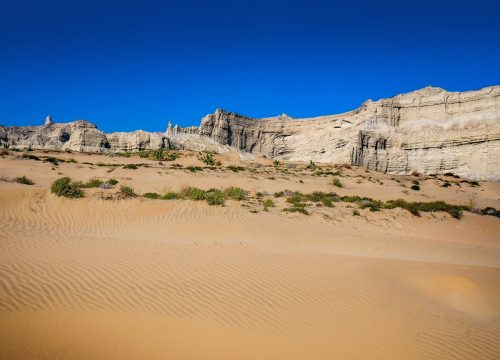 Winter Tour in Coastal Region