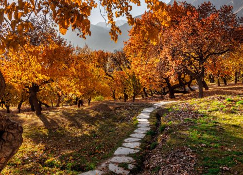 Autumn Tour in North Pakistan